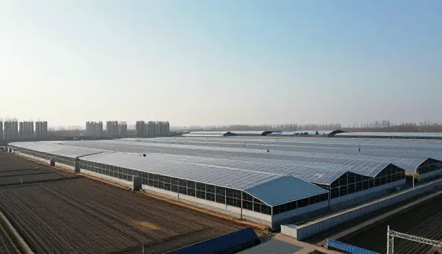 上海建站网数据查询效率提升的现实困境