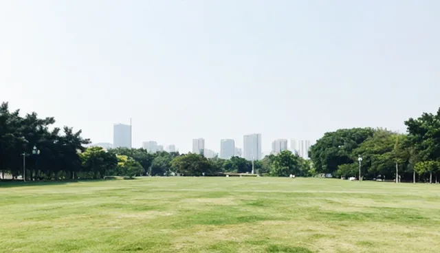 企业名录查询:信息匹配的区域筛选逻辑与选型考量