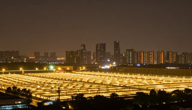 企业名录查询的适用场景与使用限制